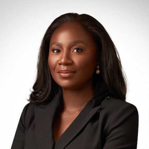 Nigeria To Host Global Gas Investors In Lagos