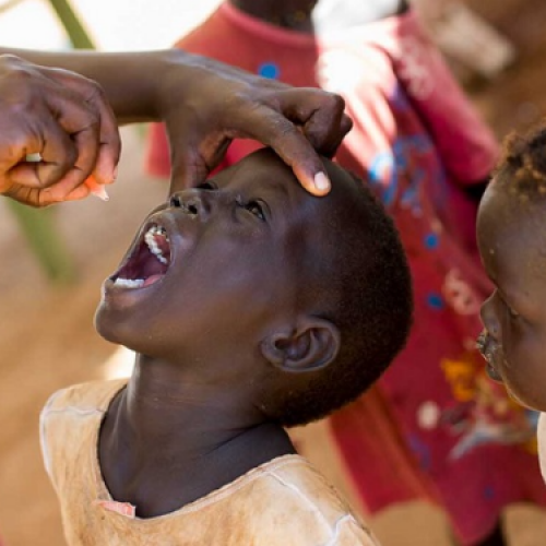 Nigeria Records 46% Drop In Poliovirus Cases as NPHCDA Reports Progress In Eradication Efforts