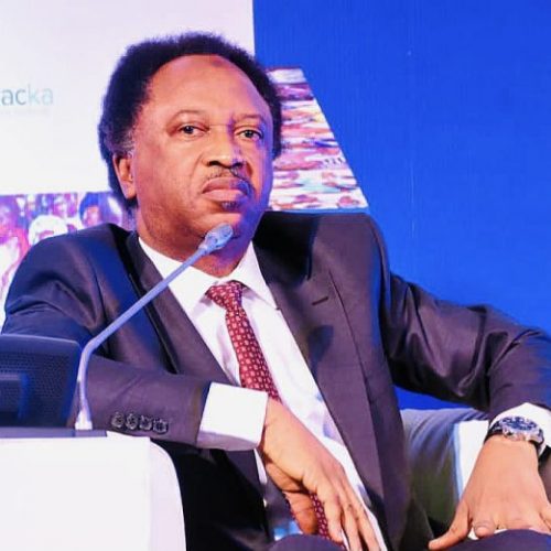 Read more about the article NSA Ribadu Taking Steps To Fight Terrorism – Shehu Sani On Arrest Of Ansaru-AlQaeda Leader <br>