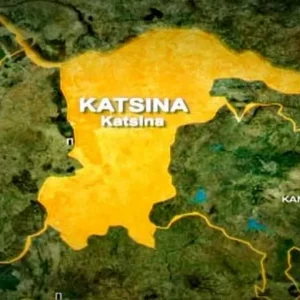 Katsina govt extends maternity leave to four months ten days