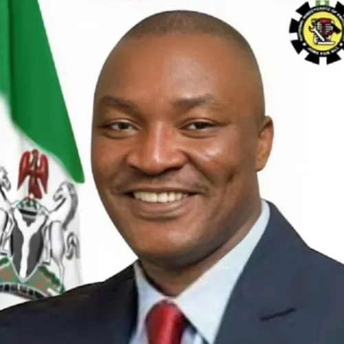 Read more about the article Over 35,000 Nigerians Apply For 27,000 RHEI Job Slots Within 24 Hours
