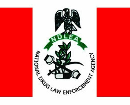 Read more about the article NDLEA Arrests 75-year-old Grandpa, Destroys 178,000kg Cannabis in Nationwide Raids
