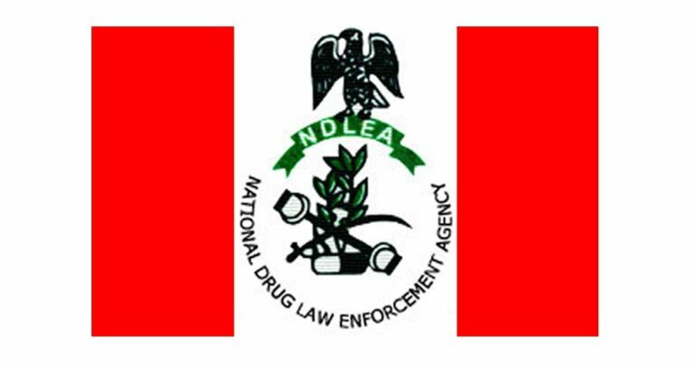 You are currently viewing NDLEA Arrests 75-year-old Grandpa, Destroys 178,000kg Cannabis in Nationwide Raids