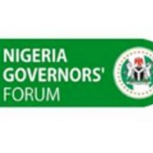 Read more about the article Governors Launch Platform To Attract FDIs, Say $2bn Yearly Inflow Less Than 0.5% Of GDP
