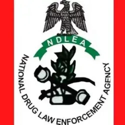 NDLEA Arrests Drug Kingpin in Delta, Intercepts N7.8bn Opioids in Rivers