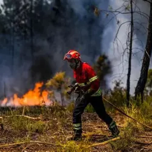 Wildfires Rage In Spain And Portugal Amid Searing Heat