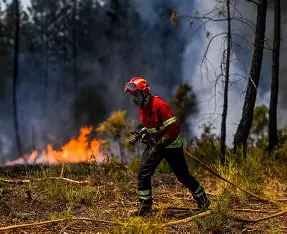 Read more about the article Wildfires Rage In Spain And Portugal Amid Searing Heat