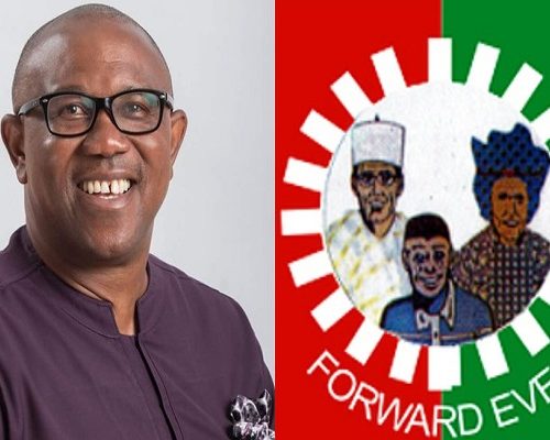 Read more about the article Labour Party Slams Peter Obi As ‘Uber Politician,’ Accuses Him Of Desperation For Power