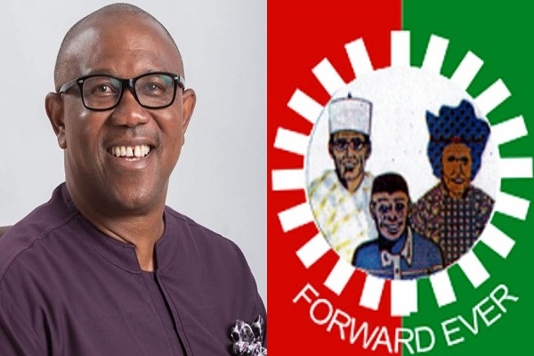 You are currently viewing Labour Party Slams Peter Obi As ‘Uber Politician,’ Accuses Him Of Desperation For Power