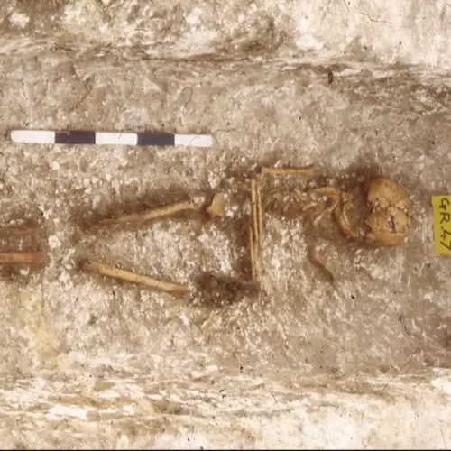DNA Analysis Reveals West African Ancestry in Early Medieval England