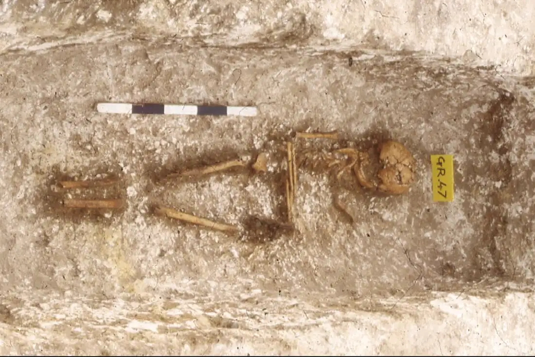 You are currently viewing DNA Analysis Reveals West African Ancestry in Early Medieval England