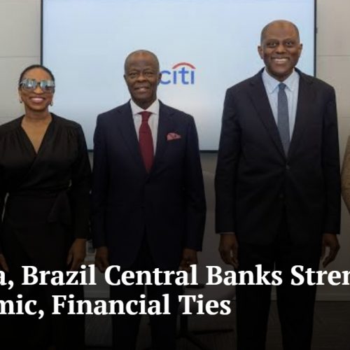 Read more about the article Nigeria, Brazil Central Banks Strengthen Economic, Financial Ties