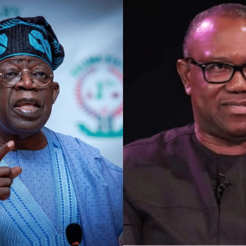 Read more about the article Criticising President Tinubu’s Foreign Travels Confirms That Peter Obi Is a Petty Trader Who Should Open a Stall At Onitsha – Reno Omokri