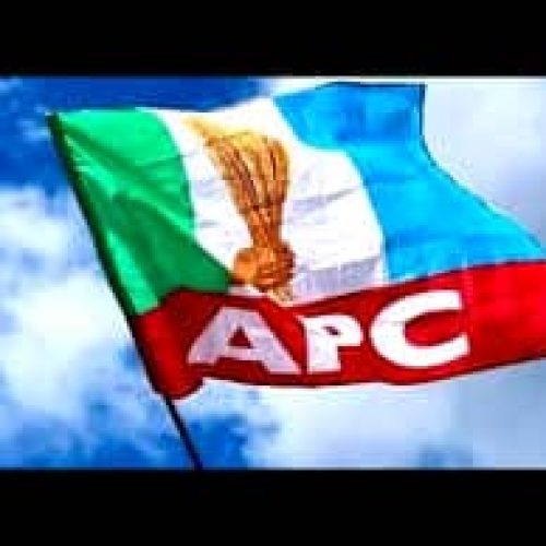APC Defeats NNPP In Kano Re-run PollGilbert Ekugbe