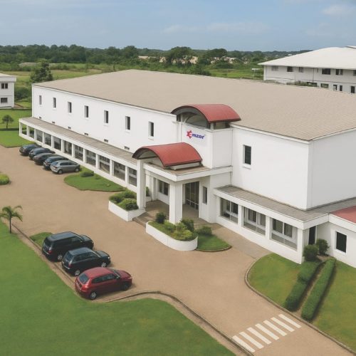 Read more about the article $23m Plant To Cut Drug Imports, Boost Self-Sufficiency By 2026 – Emzor