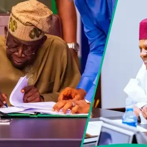 Job Alert for 20 Million Nigerians as FG Announces New National Programme, Details Emerge
