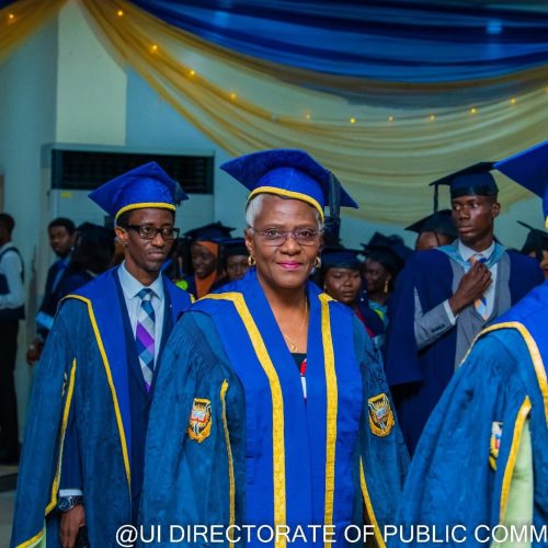 Read more about the article UI Deputy Vice Chancellor Academics, Prof. Aderonke Baiyeroju Retires, By Mobolaji Olukayode