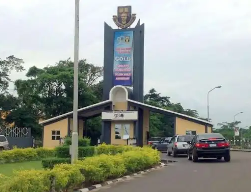 Read more about the article OAU Seeks Help Over Missing 300-level Student