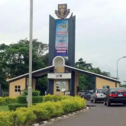 OAU Seeks Help Over Missing 300-level Student