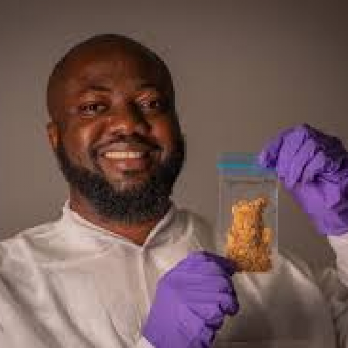 Nigeria’s Egusi Seeds Sent To Space For Historic Study On Adaptation