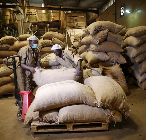 Read more about the article Nigeria’s Non-oil Exports Jump Nearly 20% In Half Year 2025, Riding On Cocoa, Urea Demand