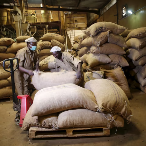 Nigeria’s Non-oil Exports Jump Nearly 20% In Half Year 2025, Riding On Cocoa, Urea Demand