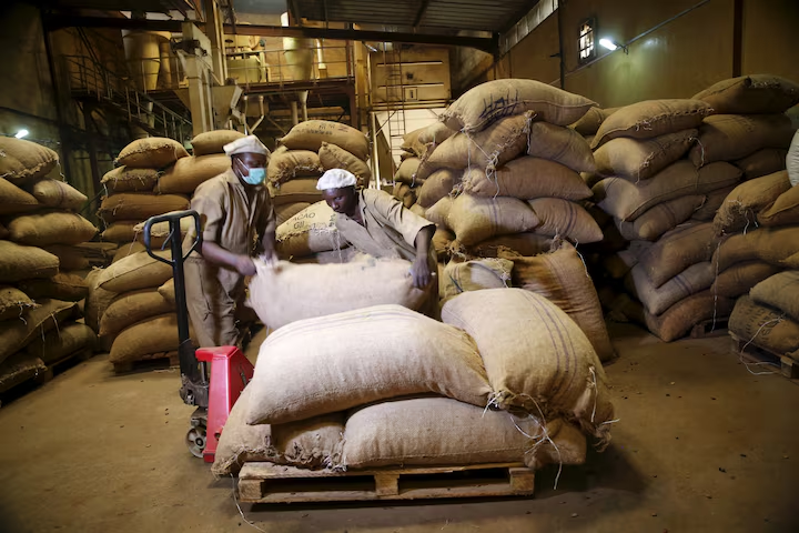 You are currently viewing Nigeria’s Non-oil Exports Jump Nearly 20% In Half Year 2025, Riding On Cocoa, Urea Demand