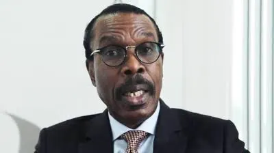 Read more about the article Rewane Warns Lokpobiri: Your 2M BPD Crude Target Statement Violates OPEC Quota Rules, Risks Penalties