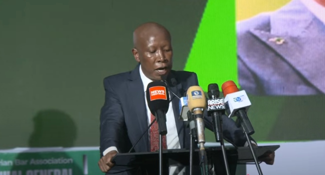 You are currently viewing Africa’s Salvation Lies In Our Hands, Not In Washington, Beijing — Malema
