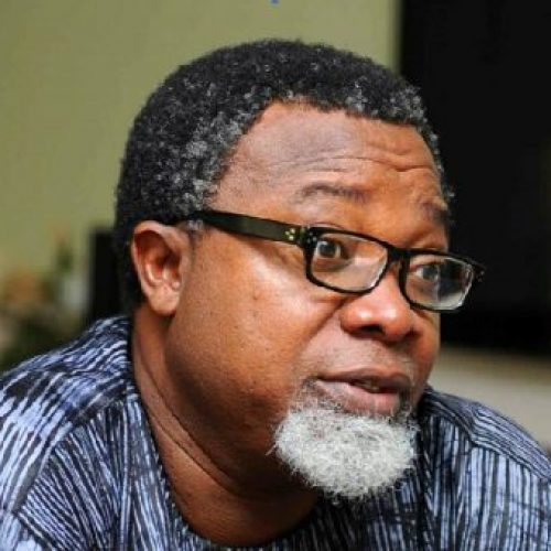 AVRS: How Mahmood Ali-Balogun Led Legal Victory Over Hotels