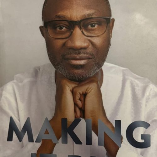 Read more about the article My Reflections & Notes from Reading “Making It Big”, By Femi Otedola