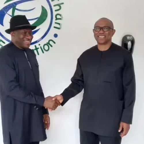 PDP Southern Ticket: Lobby For Jonathan, Obi’s Return Hots Up