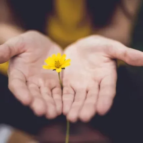 10 Painfully Obvious Facts About Life We All Forget Too Often