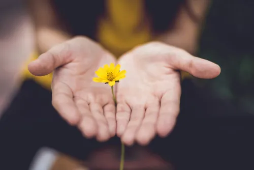 Read more about the article 10 Painfully Obvious Facts About Life We All Forget Too Often