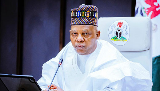 You are currently viewing Nigeria Launches Single-Window Land Registration, Expands Irrigation and Credit Systems