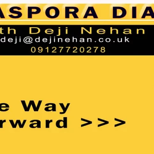 Smart Cities or Smart Scams? Why Diaspora Brains Must Redesign Nigeria’s Urban Future, By Deji Nehan 
