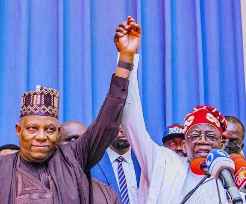 Read more about the article I Have No Regret Choosing You as My Vice, Tinubu Tells Shettima At 59
