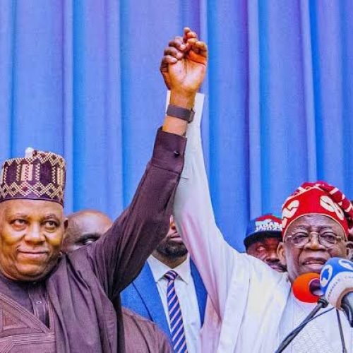 I Have No Regret Choosing You as My Vice, Tinubu Tells Shettima At 59