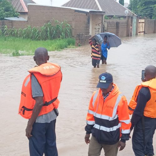 Read more about the article Flood: NEMA Leads Rescue, Evacuation Operations in Adamawa