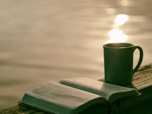 Read more about the article 3 Small Morning Habits that Will Change the Rest of Your Life