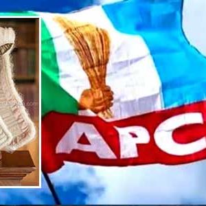 APC Legal Team