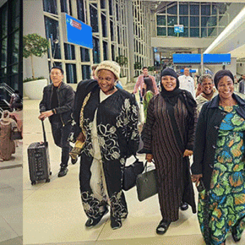 “Wasteful Overseas Trip” — Adamawa Retirees Slam LG Chairmen’s Spouses’ Training in Istanbul