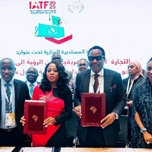 FG, Afreximbank, MDGIF Seal $500m Gas Infrastructure Deal to Unlock Nigeria’s Energy Potential
