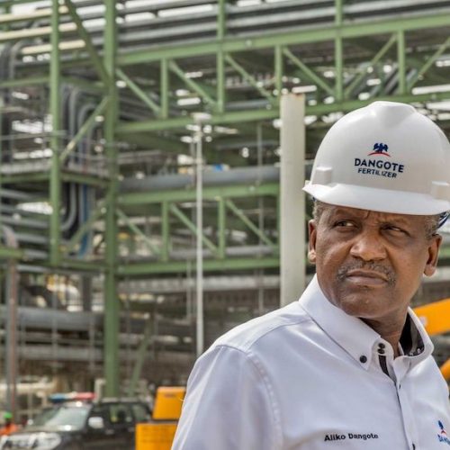 Read more about the article Dangote Refinery Stops Sales to Unregistered Marketers