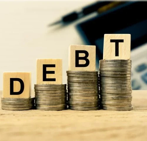 Read more about the article MPC Member: Petrol Subsidy Removal, FX Liberalisation Yet to Curb Debt Growth