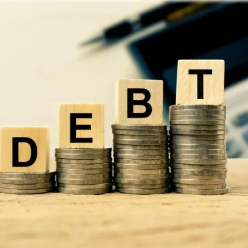 MPC Member: Petrol Subsidy Removal, FX Liberalisation Yet to Curb Debt Growth