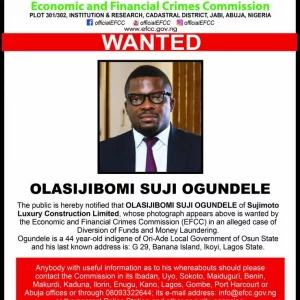 EFCC Declares Sujibomi Ogundele Wanted