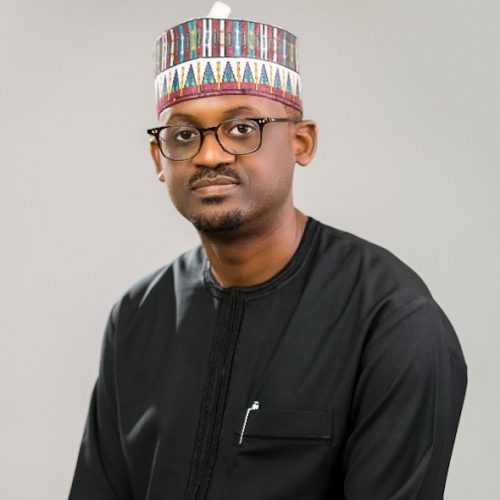 Read more about the article Diamond-rich Botswana Appoints Nigerian as Chairman of Multi-billion-dollar Sovereign Wealth Fund
