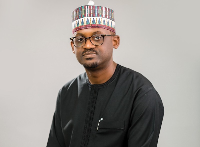 You are currently viewing Diamond-rich Botswana Appoints Nigerian as Chairman of Multi-billion-dollar Sovereign Wealth Fund