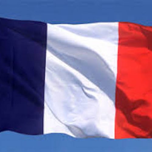 Pig Heads Left Outside French Mosques – Police